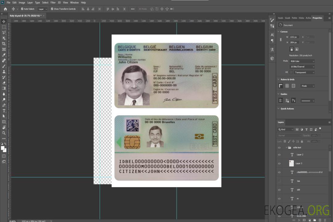 Carte d'identité belge neuve template